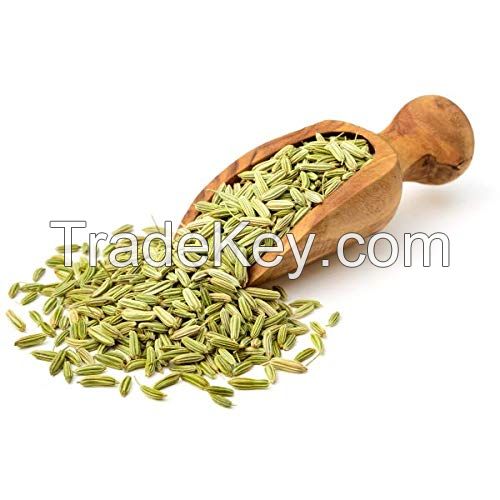 Egyptian Fennel Seeds Wholesale supplier