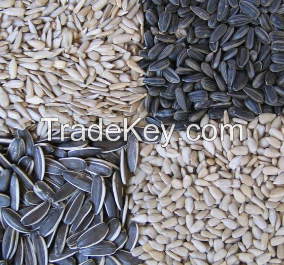 Premium Quality Sunflower Seed / 100% sunflower seeds kernel peeled sunflower seeds