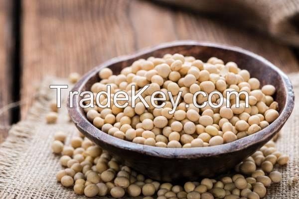 Soy Beans