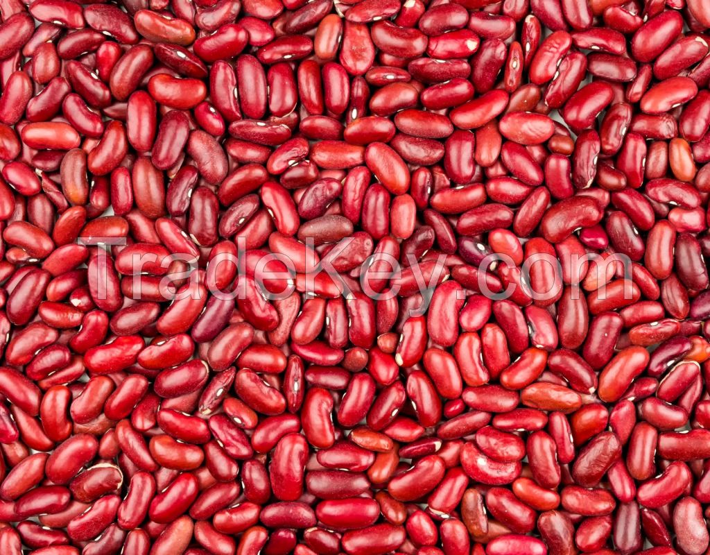 RED KIDNEY BEANS