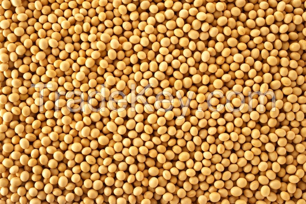 SOYBEANS