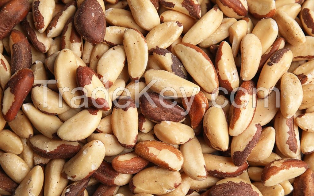 DRIED/RAW/ROASTED BRAZIL NUTS