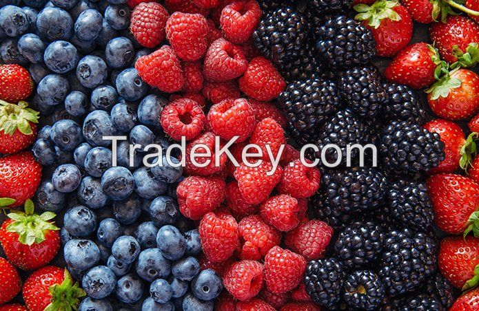 FRESH STRAWBERRY, STRAWBERRY FRESH BERRIES FOR SALE