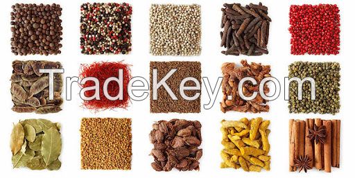 HERBS SEEDS