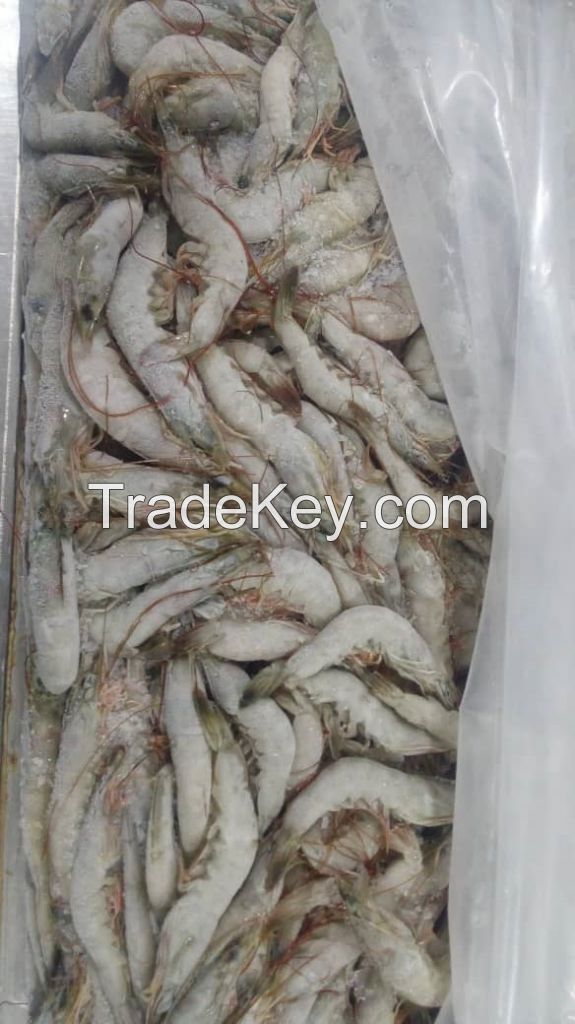 A-Grade frozen shrimp