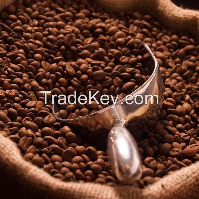 Robusta Coffee/Arabica Green Coffee Beans