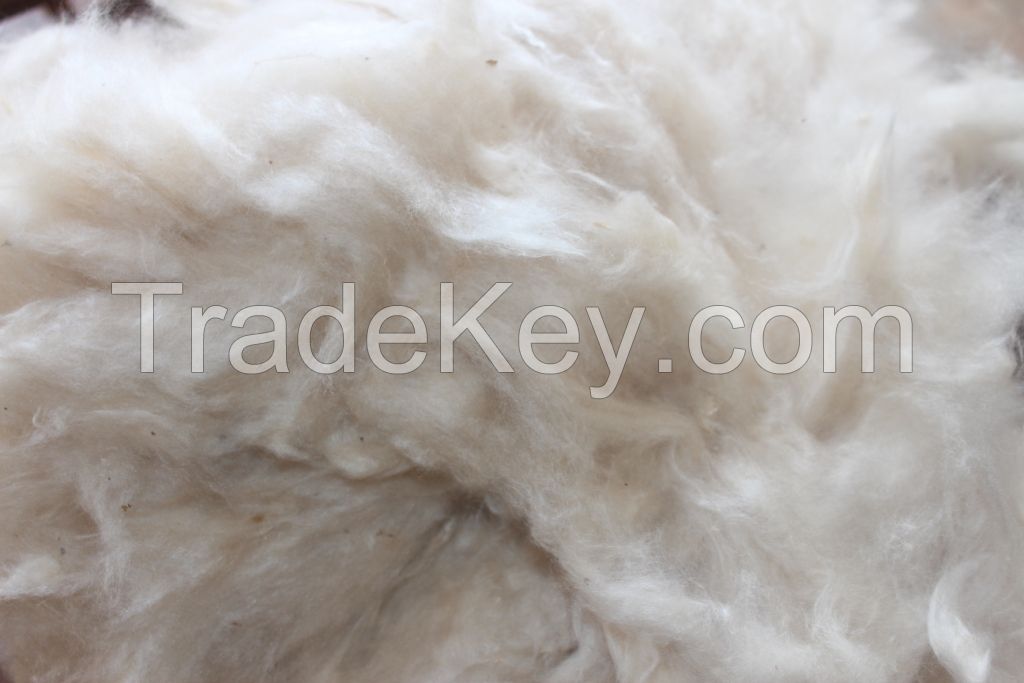 Sell Superfine Kapok Fiber