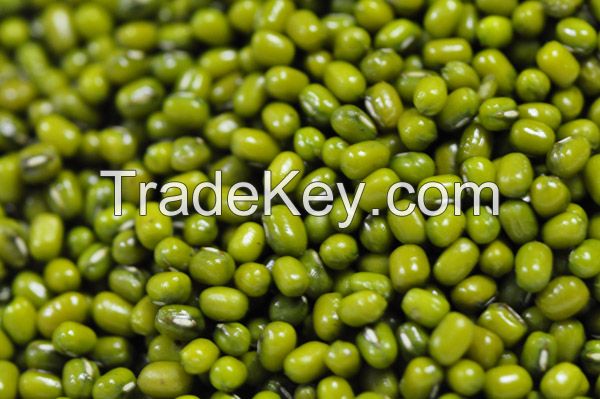 GREEN MUNG BEANS