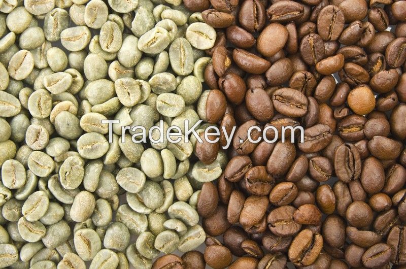 Arabica and Robusta Coffee