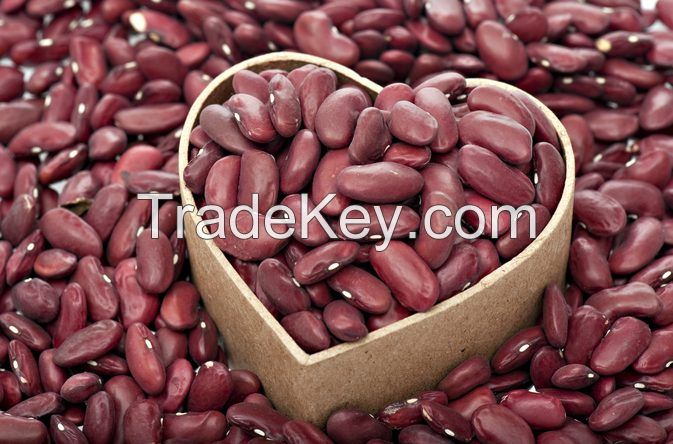 Red Kidney Beans