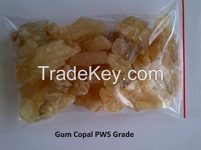 Gum Copal