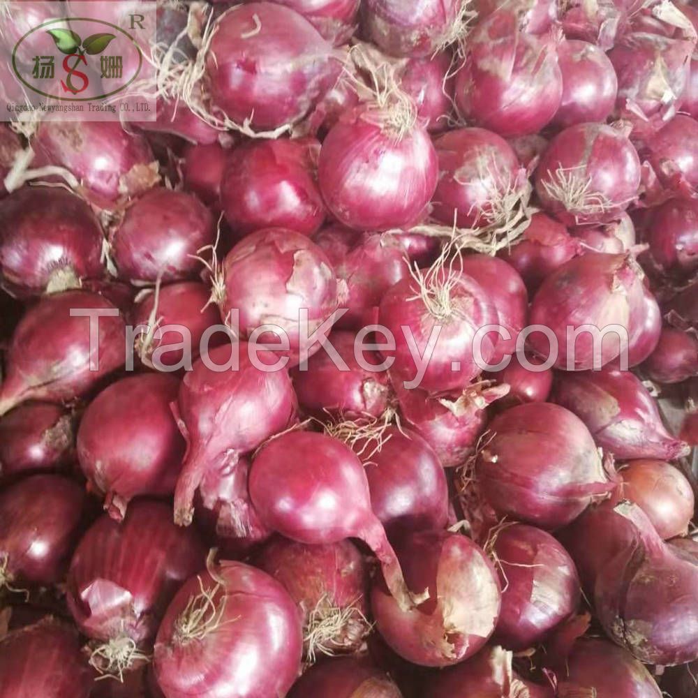 Red Onion