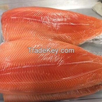 Salmon Fish