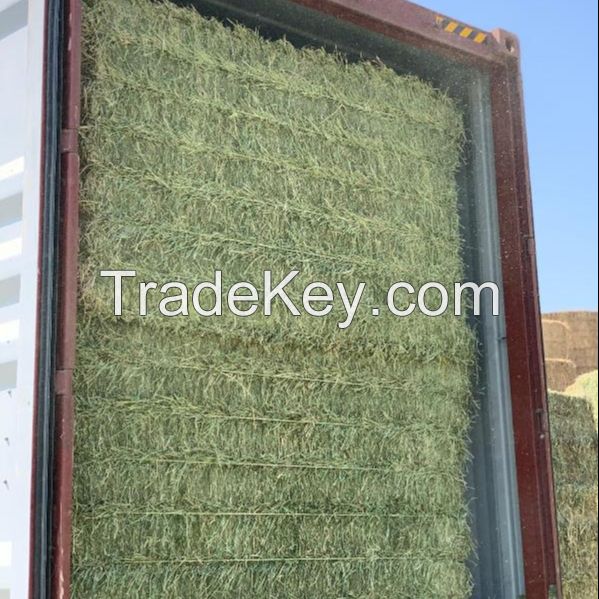 Sell Lucerne Hay, Alfalfa Hay Bale, Clover from Sweden