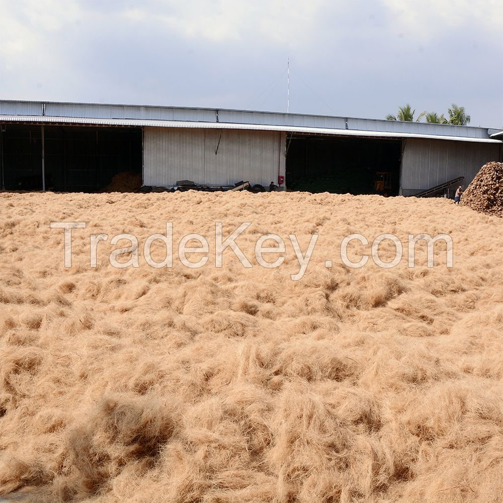 Natural Coconut Fiber of Coconut