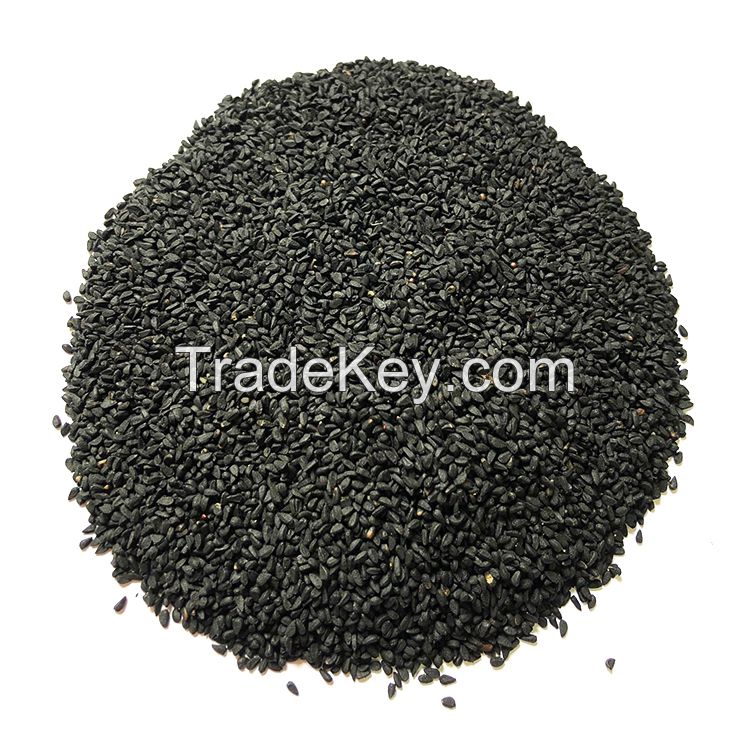 Wholesale Cumin seeds