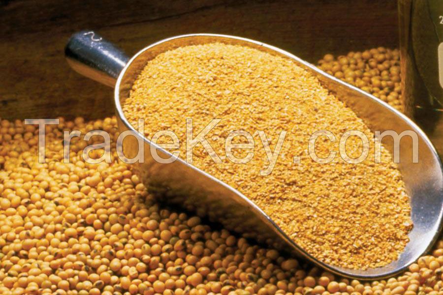 Soybean Meal Corn Gluten Meal Shandong 60% 65% Protein Animal Feed