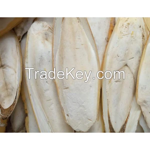Prime quality cuttlefish bone - calcium bone