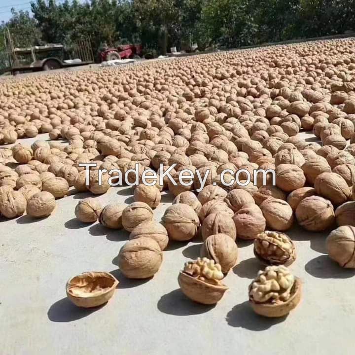 WALNUT