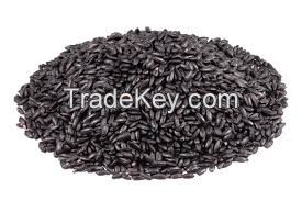 ORGANIC BLACK RICE PREMIUM GRADE FROM VIETNAM