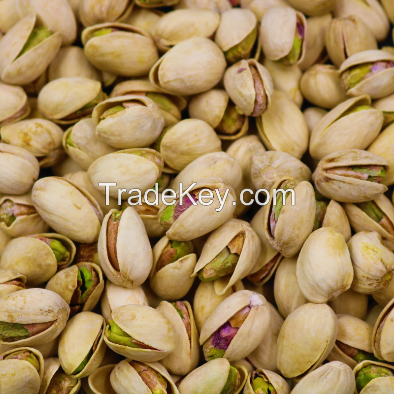 whole sale Pistachio Nuts