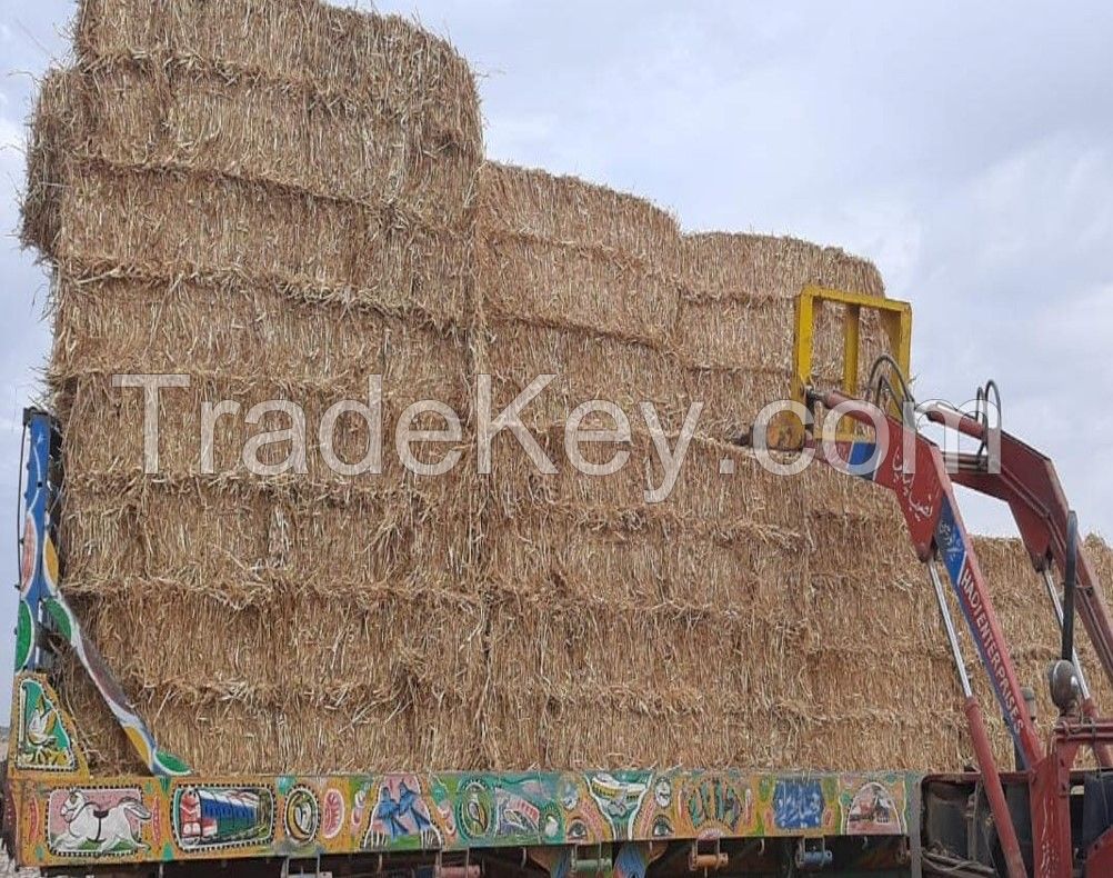 Bulk wheat hay For Sale