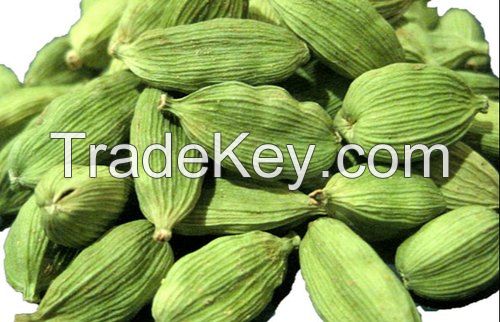 quality organic Green Cardamom