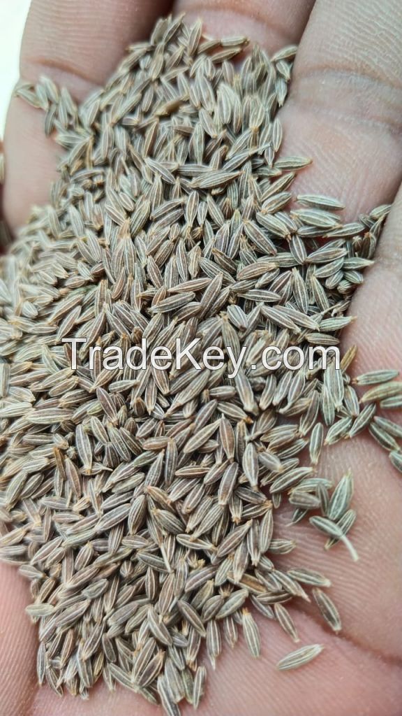 Cumin Seeds