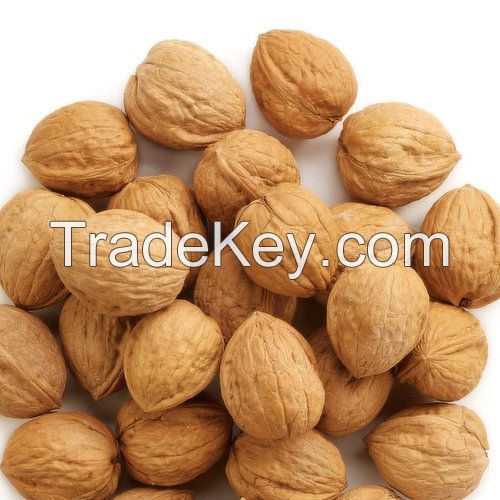 Raw Walnuts In Shell