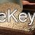 Wholesale Sesame Seeds Hulled & Natural Cheap Price
