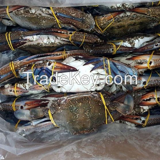 Frozen Blue Swimming Crab