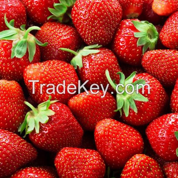 Fresh Strawberry