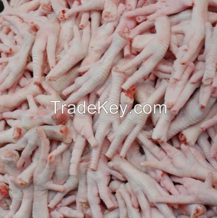 Top Selling Premium Halal Frozen Whole Chicken, Chicken Feet, Paws Frozen Chicken Paws Chicken Feet