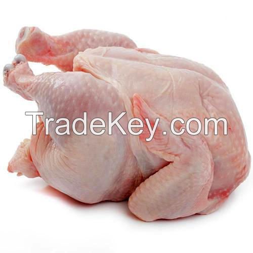 Halal whole frozen chicken; good price