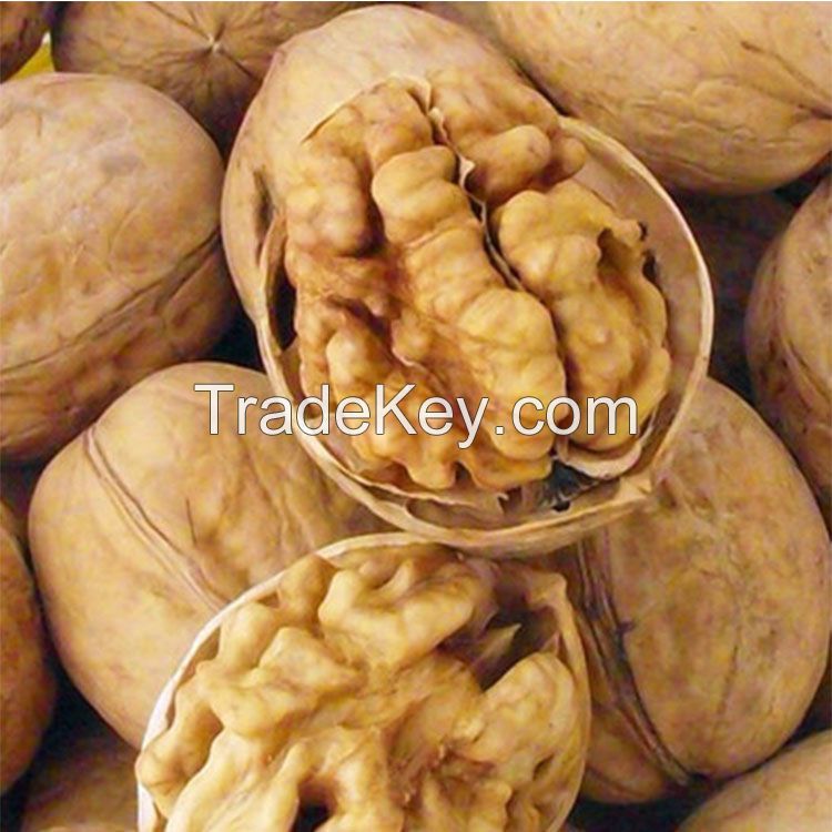 2021 walnuts Raw organic walnuts Thin skin walnut