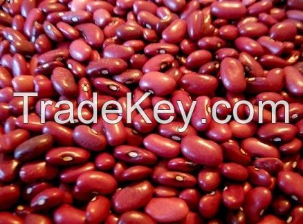 Sell Red Kidney Beans