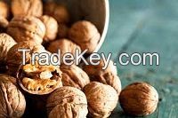 Walnuts