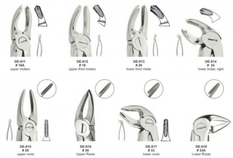 Extracting Forceps