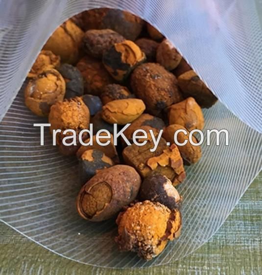 Cow Gallstone