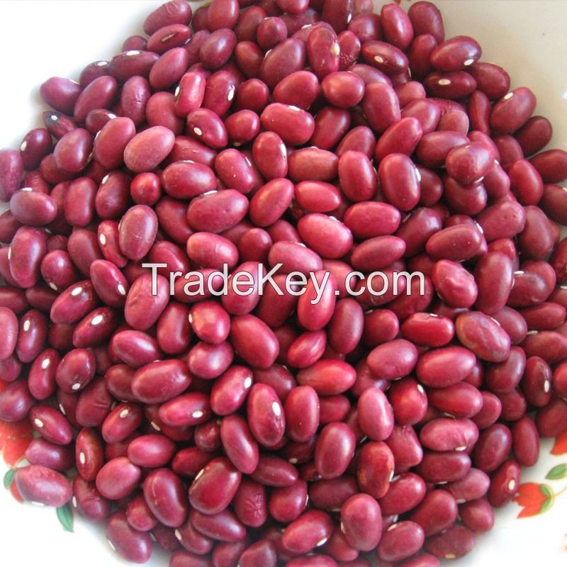 Black and White Kidney Beans