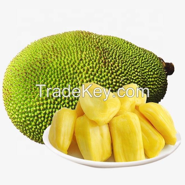 High Quality Fresh Sweet Jackfruit