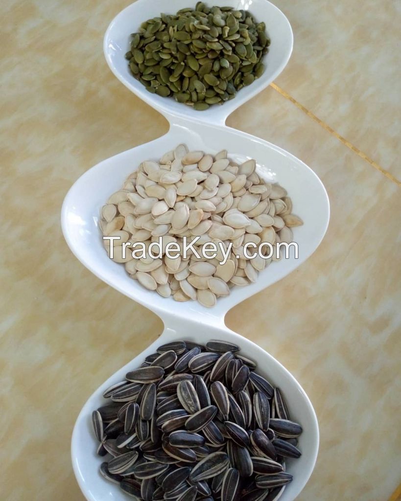 Black Sunflower Seed Kernels Supplier Long Shape 99.9% Min 10% Max Premium Grade from ZA Dried Raw COMMON Cultivation