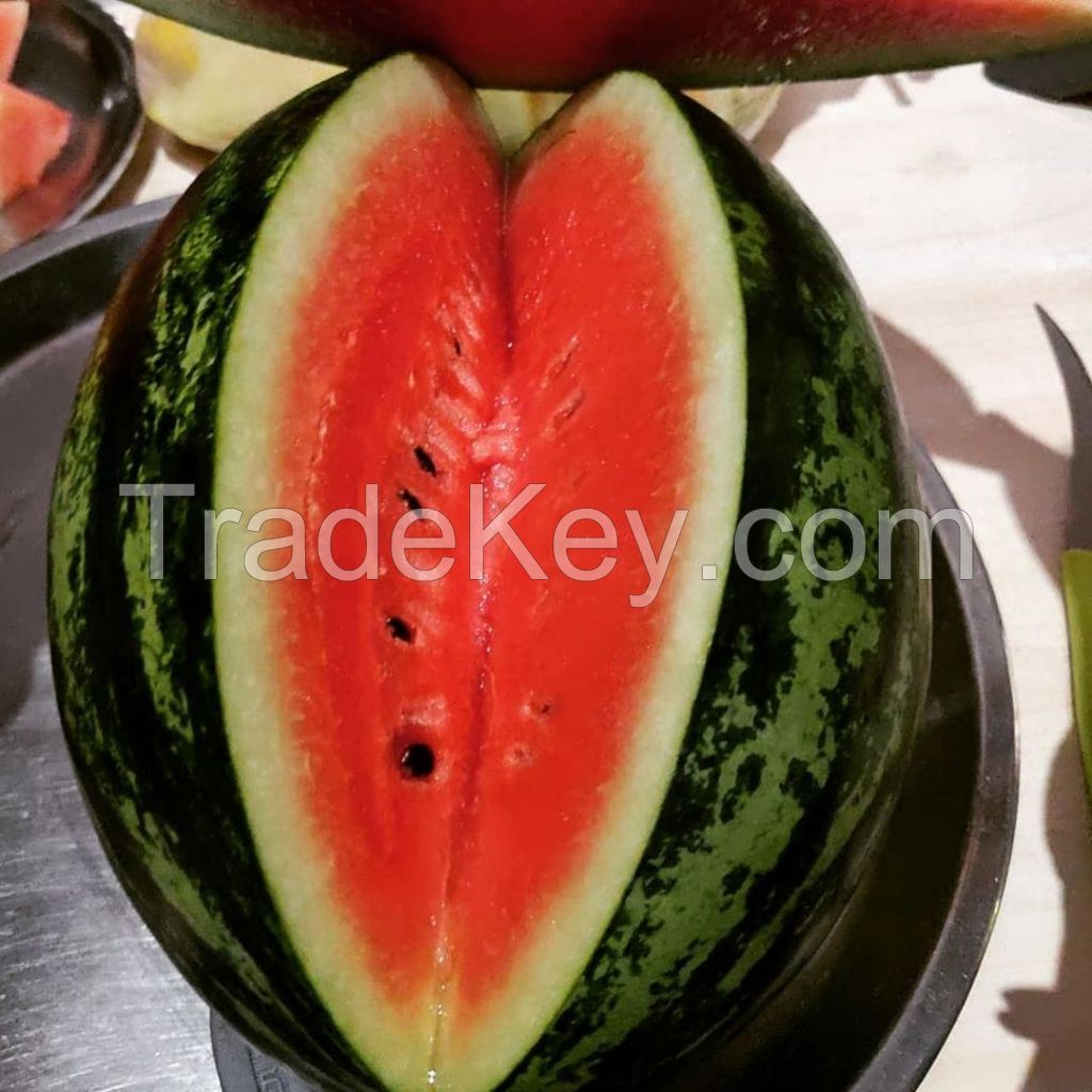 High quality organic fresh watermelon