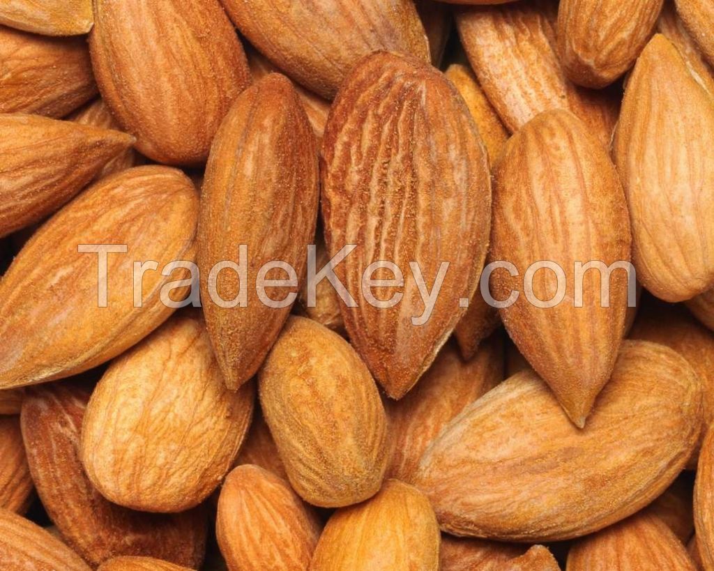 Premium Quality Organic Raw Dried Almond Nuts