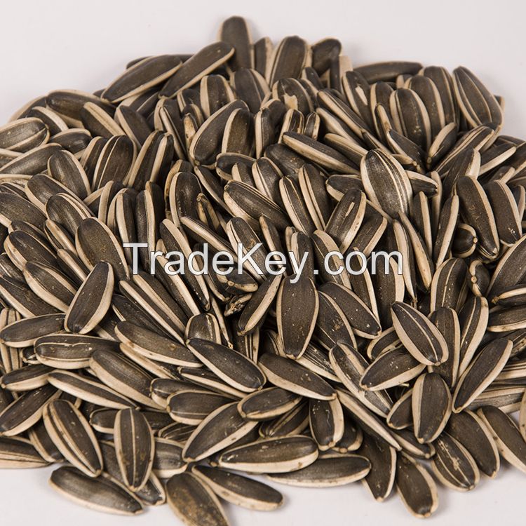 Sunflower seeds