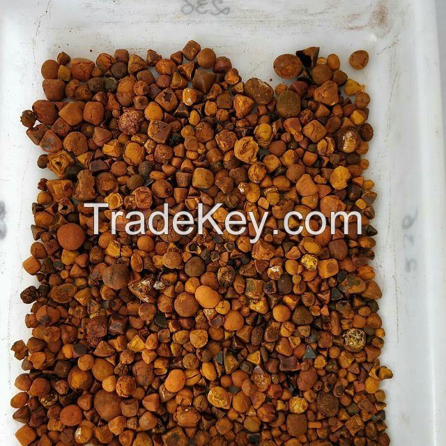 Cow Gallstones