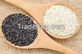 SESAME SEEDS FOR SALE