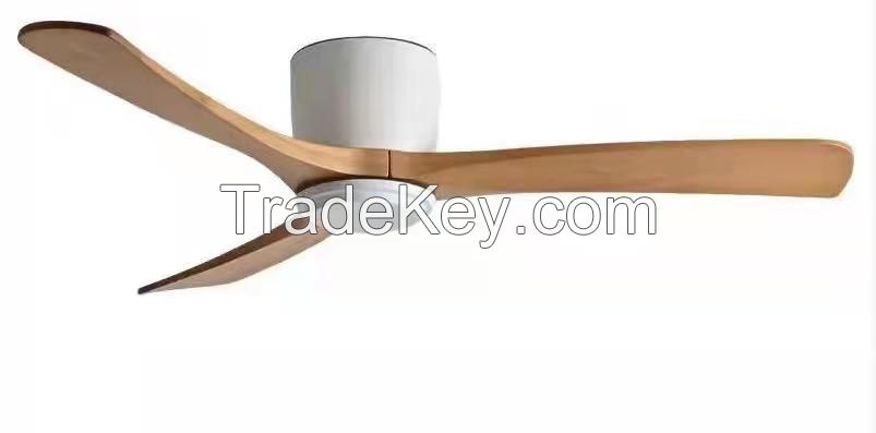 BLDC ceiling fan