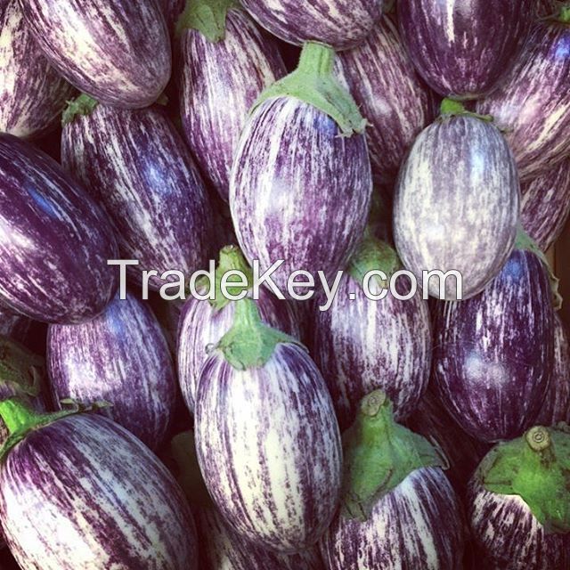 FRESH EGGPLANT Fresh WHITE black purple green eggplant Fresh Eggplant/ Iceberg Lettuce/ Cabbage mixed vegetables