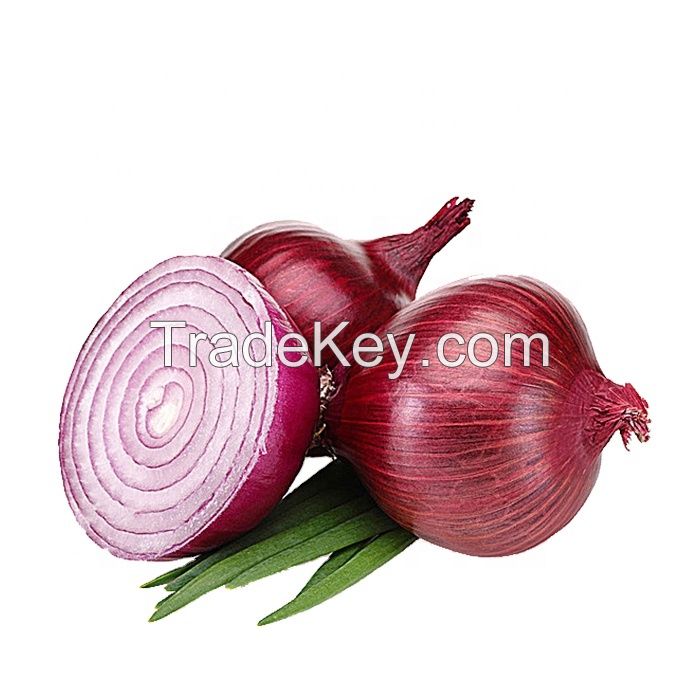 Fresh high quality Onions